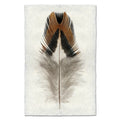QUAIL FEATHER PRINT SHADOW BOX
