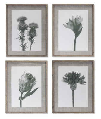 Greyscale Floral Print