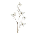 Ivory Butterfly Spray