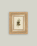 Bell with Pine 7x9