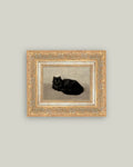 Black Cat 12x10