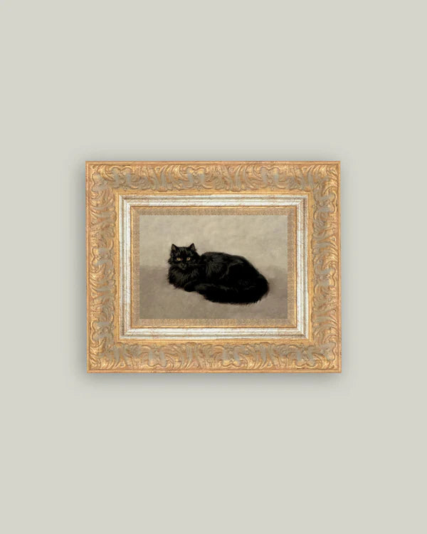 Black Cat 12x10