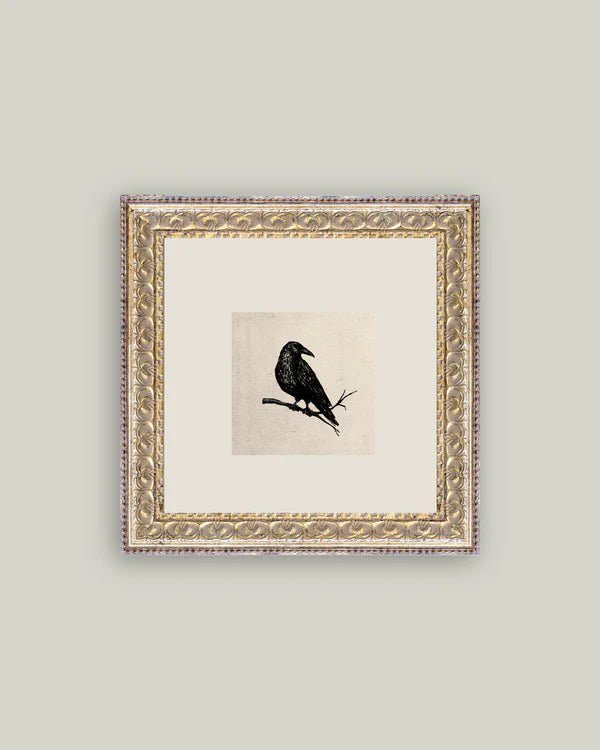 Crow 9x9