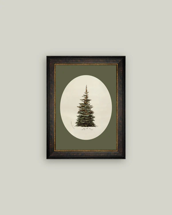 Oval tree 7x9