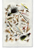 Art- Collective Fishing Flies