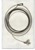Art- Lasso