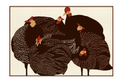 Canvas-Turkey
