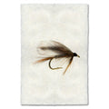 ADAM FLY PRINT SHADOWBOX