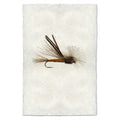 BUGMEISTER FLY PRINT SHADOW BOX